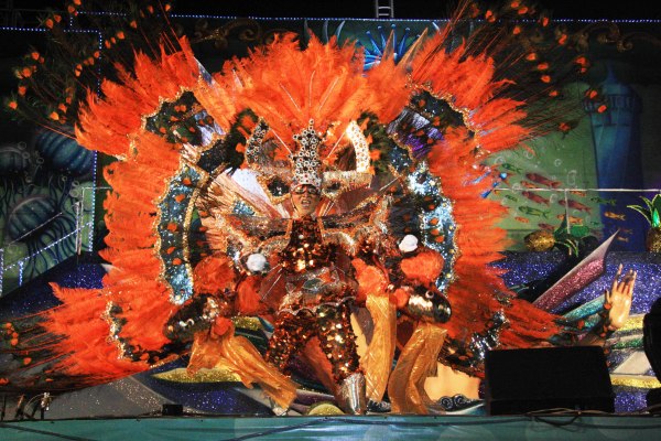 Fantasia do Peixe Japonês! Eleito Rei do Carnaval de Cozumel